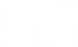 iron legion side logo